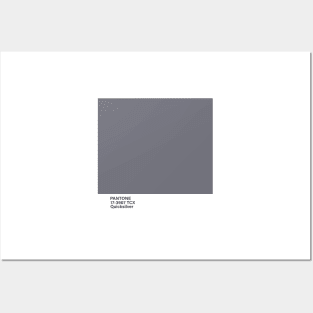 pantone 17-3907 TCX Quicksilver Posters and Art